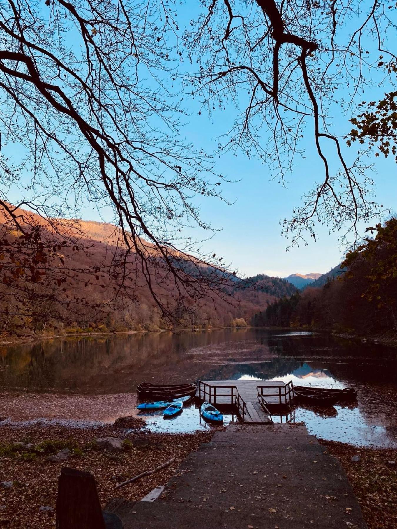 Rest&Peace Homes Mojkovac Bagian luar foto